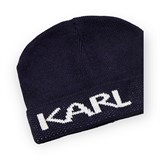 KARL LAGERFELD Шапка 805601-524322-690 - фото 10052